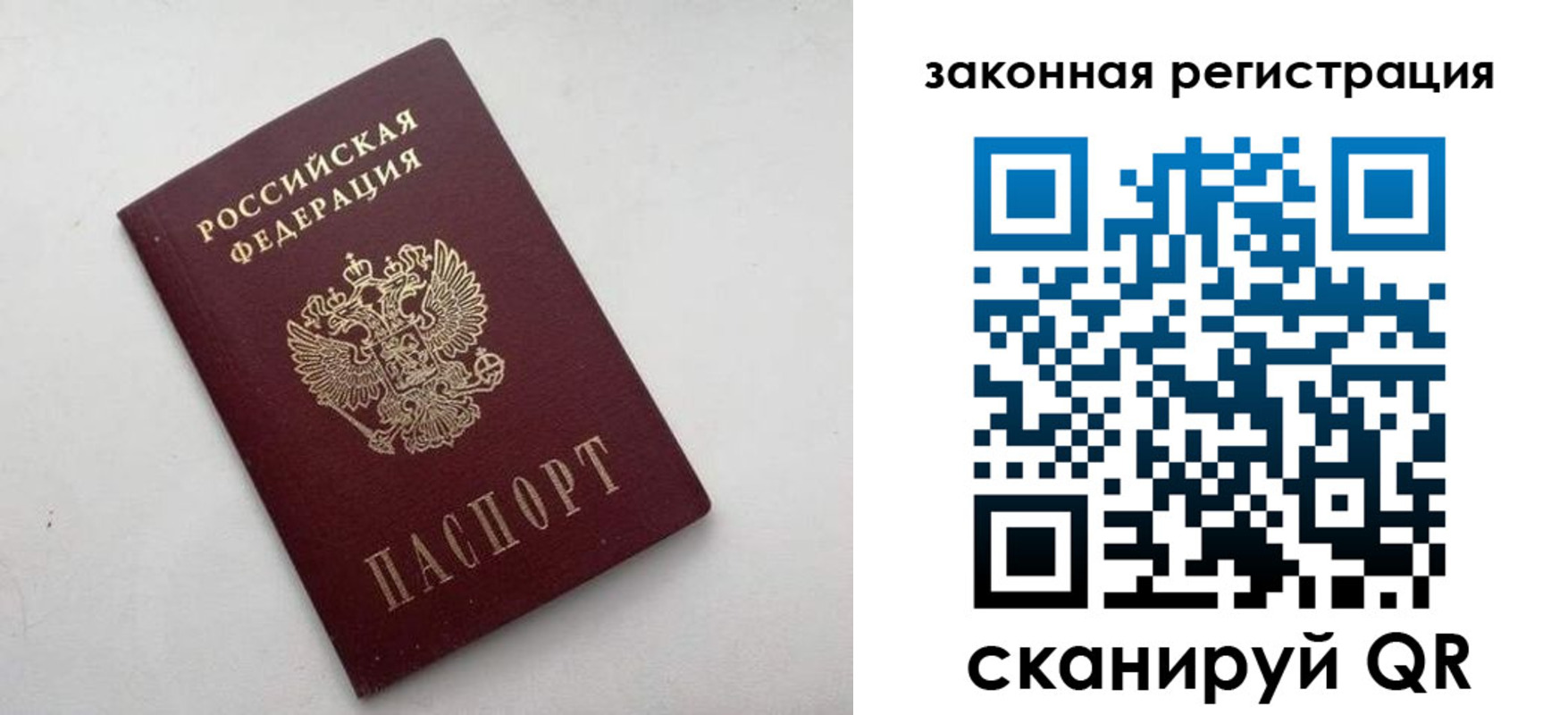 прописка гарантия в Ленинградской области