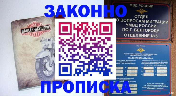 прописка для школы в Ленинградской области